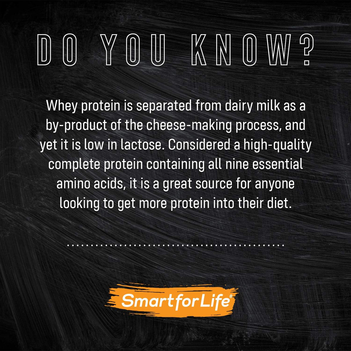 Whey Protein Puffs: 18g Protein, 3LB Zero Sugar Snack (53 Servings)